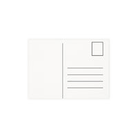 Greetings from Alligator Alley Postcards - Ready to Mail (set  of 10 Pack or 30 Pack)