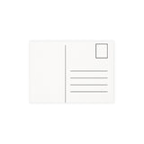 Greetings from Alligator Alley Postcards - Ready to Mail (set  of 10 Pack or 30 Pack)