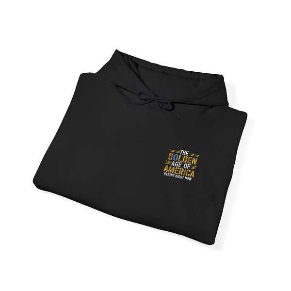 Golden Age of America Embroidered Hoodie
