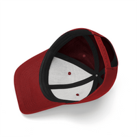 Embroidered Trump Hair Punisher Hero Baseball Cap