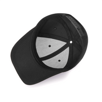 Embroidered Trump Hair Punisher Hero Baseball Cap