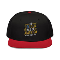 The Golden Age of America Embroidered Snapback Hat