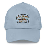 Veterans for Donald Trump Soft Dad hat