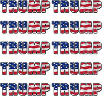 Trump 2024 Sticker American Flag Vinyl Stickers - 10 pack