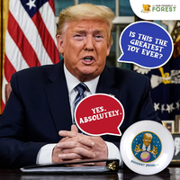 President Predicto - Donald Trump Fortune Teller Ball - The Greatest Way to Discover Your Future - Ask a YES or NO Question & Trump Speaks the Answer - Like a Next Generation Magic 8 Ball – Funny Gift